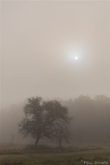 Vanmorgen in het Hobos... - Pelt