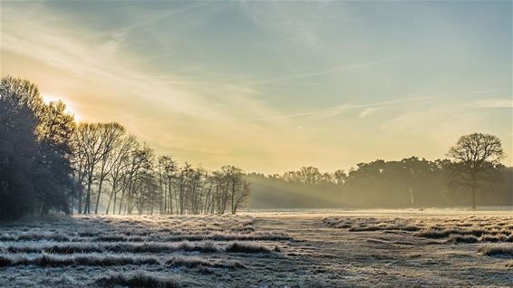 Vanmorgen in het Hobos - Overpelt