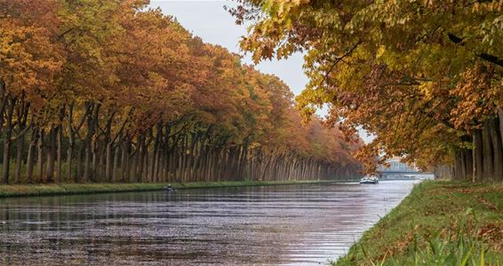 Vanmorgen scheen de zon... - Neerpelt