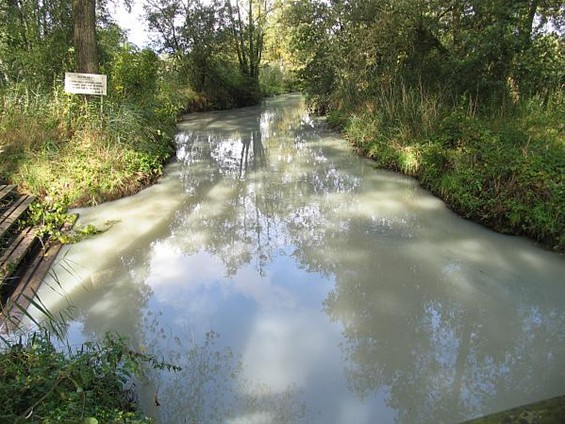 Vanmorgen zag de Dommel wit - Neerpelt