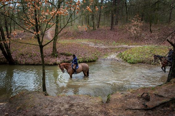 Vanochtend in Heide-Heuvel - Lommel