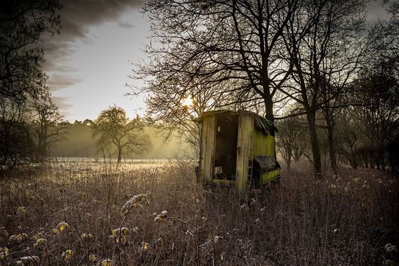 Vanochtend in het Hobos - Overpelt