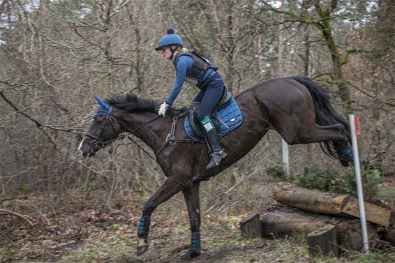 Pelt - Vastberaden door het bos van Holven