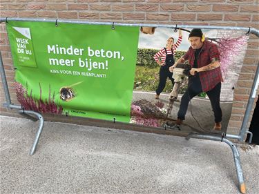 Veel activiteiten in de Week van de Bij - Beringen