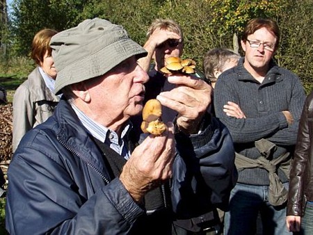 Veel belangstelling voor paddenstoelen - Neerpelt