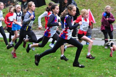 Veel deelnemers aan de Dommelloop - Neerpelt