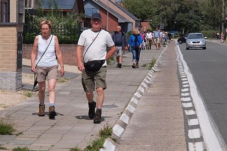 Veel deelnemers aan Heidetocht - Lommel