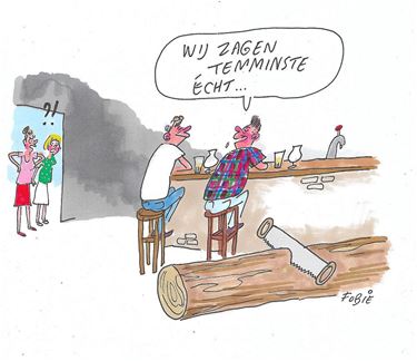 Veel hout op Lille-kermis... - Pelt