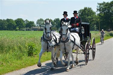 Veel koetsen voor de Pinksterrit