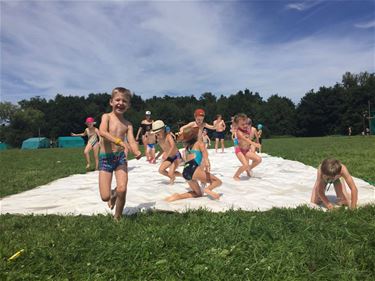 Veel plezier op kamp - Beringen