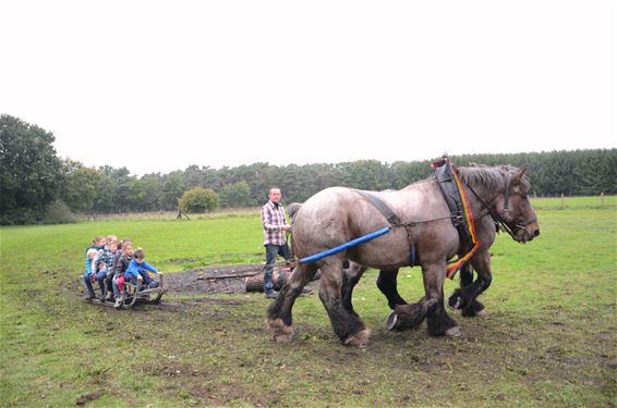 Veel plezier tijdens 'Week van het Bos' - Lommel