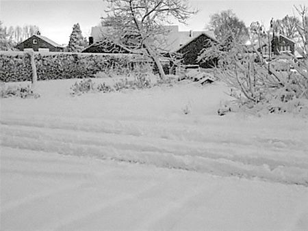 Veel sneeuw vandaag... - Overpelt