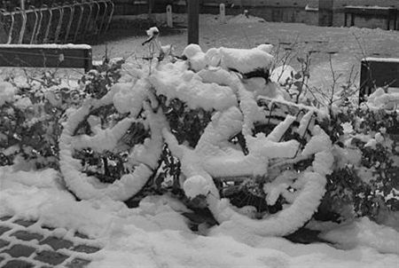 Veel sneeuw vandaag... - Neerpelt