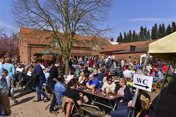 Veel volk aan Stalse Schans - Beringen