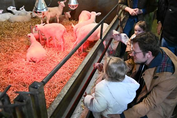 Veel volk bij opendeur Stalse Schans - Beringen