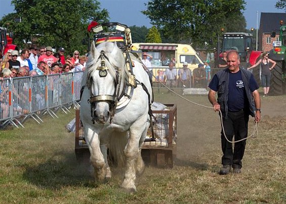 Veel volk (en paarden)... (2) - Neerpelt