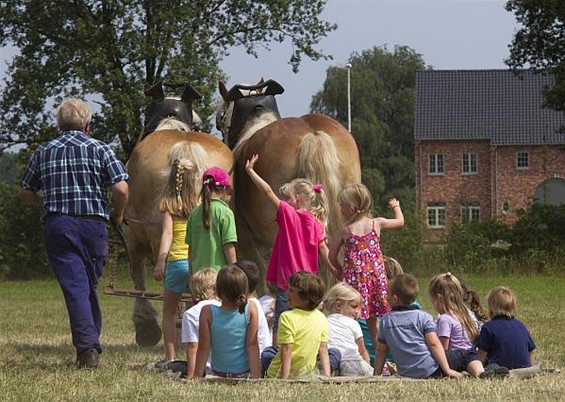 Veel volk (en paarden)... (3) - Neerpelt