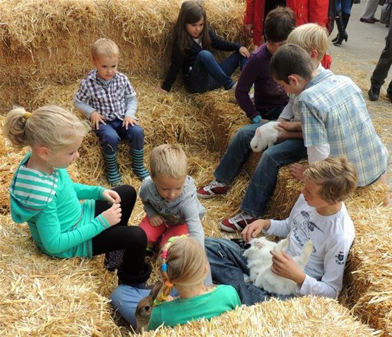 Veel volk op de Dag van de Landbouw - Neerpelt