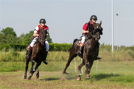 Veel volk op de paardenkoers - Meeuwen-Gruitrode