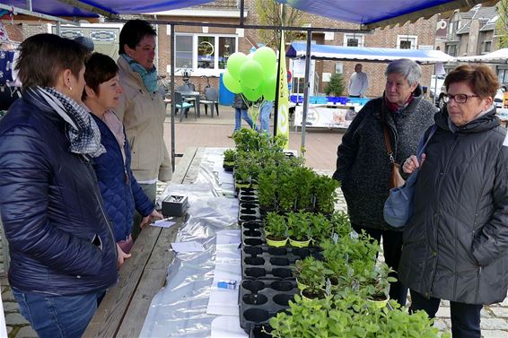 Veel volk op de teutenmarkt - Neerpelt