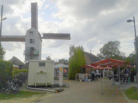 Veel volk op molenfeesten - Hechtel-Eksel