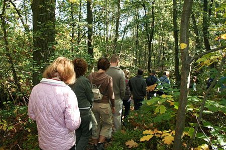 Veel volk op paddenstoelenwandeling - Hamont-Achel