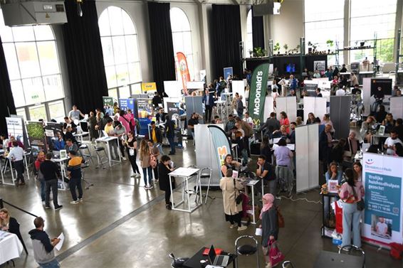 Veel volk voor jobbeurs - Beringen & Leopoldsburg