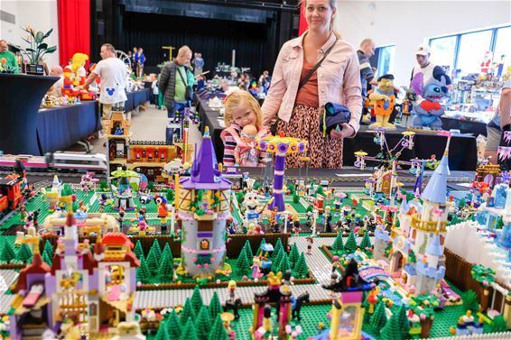 Veel volk voor Lego Blokjesfestival - Beringen