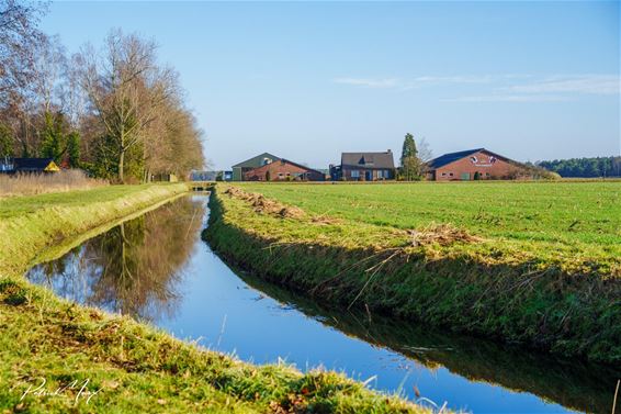 Veel volk voor Wintergrenswandeling - Hamont-Achel