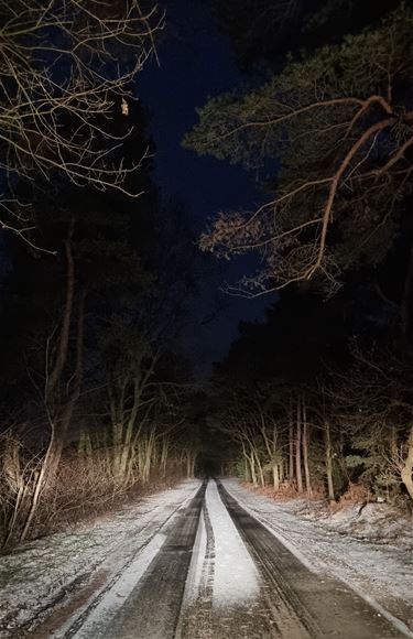 Veerle Achten: heimwee naar sneeuw en ijzel - Pelt