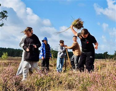 'Vegers voor Vlinders' bij XCL Wegwijs - Lommel