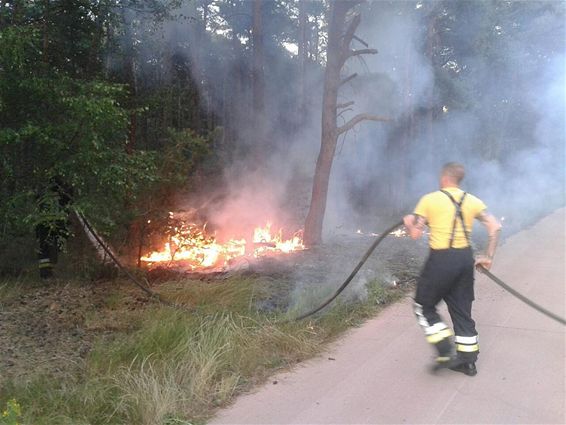 Vegetatiebrand aan de Hoeverdijk - Lommel