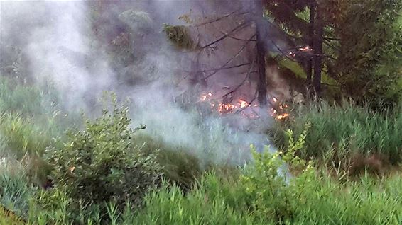 Vegetatiebrand bij het kanaal - Lommel