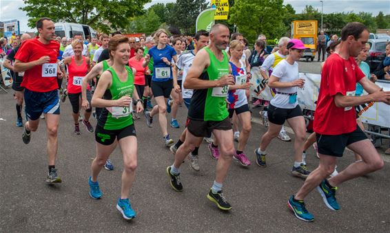 Veel lopers op Boseindrun 2015 - Neerpelt