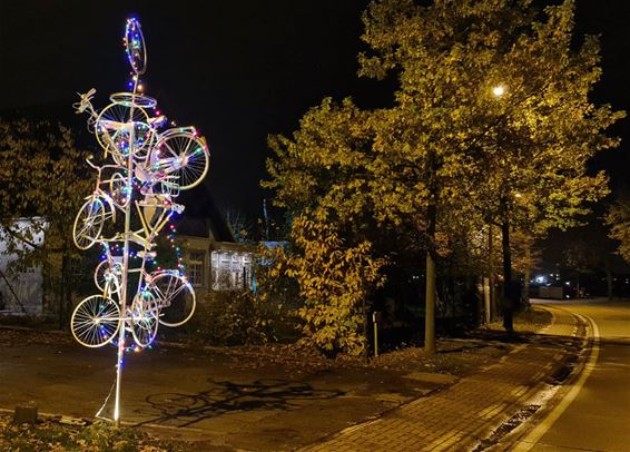 'Velobomen' voor meer verkeersveiligheid - Beringen