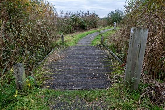 Verbeteringen gepland in natuurreservaat Hageven - Pelt
