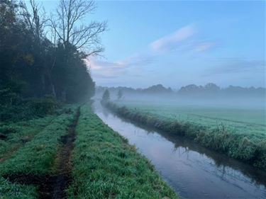 Verboden water te pompen in vallei Zwarte Beek - Houthalen-Helchteren & Beringen