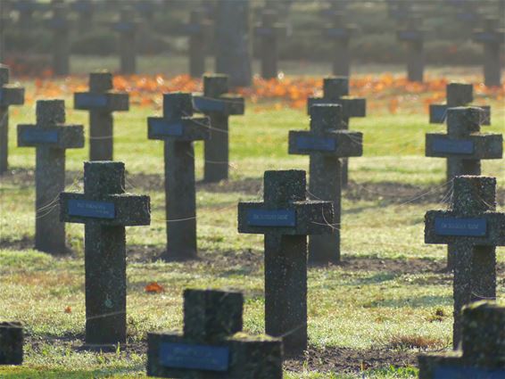 Verbonden door spinnenwebben - Lommel
