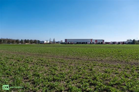 Vergeten vliegveld in de Duinengordel - Oudsbergen