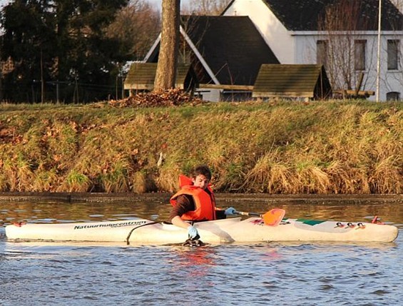 Vergiftigde eenden in het kanaal - Neerpelt