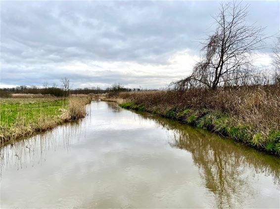 Verhoogd waterpeil, waakzaamheid geboden - Beringen