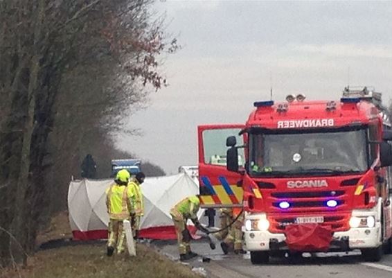 Dodelijk verkeersongeval op N74 - Overpelt