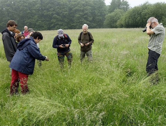 Verkenningstocht in de Boomerhei - Peer