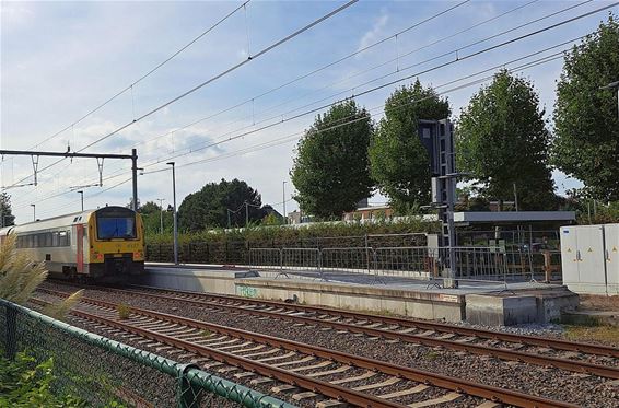 Vernieuwd perron in dienst genomen - Hamont-Achel