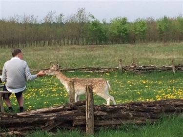 Verrassingsact tijdens fietstocht - Lommel