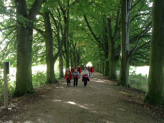 Verrassingsuitstap van de Dommeltrippers - Neerpelt