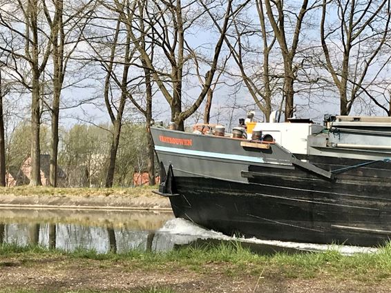 Vertrouwen in de toekomst - Pelt