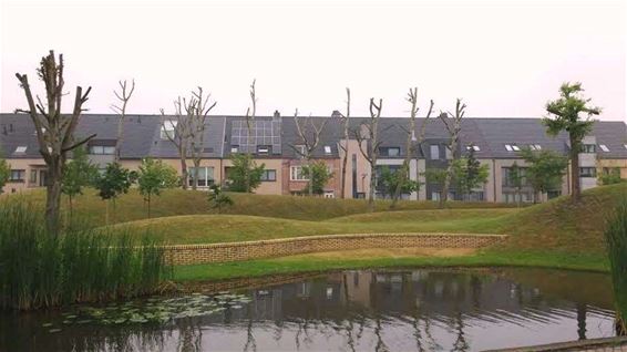 Verwijderen dode populieren in Prinses Astridpark - Lommel