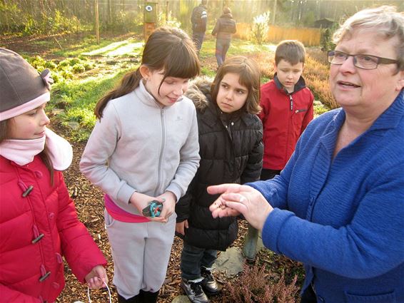 Vetloze vetbollen voor de vogels maken - Houthalen-Helchteren