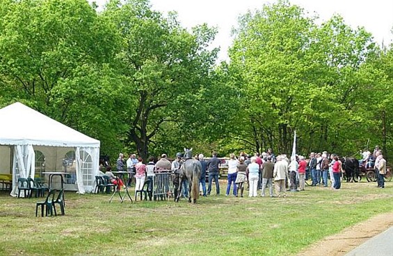 Vierde ruiterpleisterplaats geopend - Meeuwen-Gruitrode